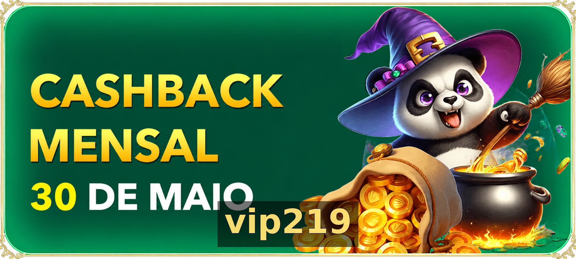 Recursos Exclusivos do App vip219 - Modo Offline, Login Biométrico